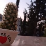 جهاز تنفس صناعي ICU Pro