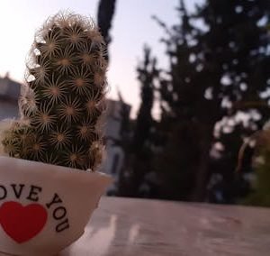 جهاز تنفس صناعي ICU Pro