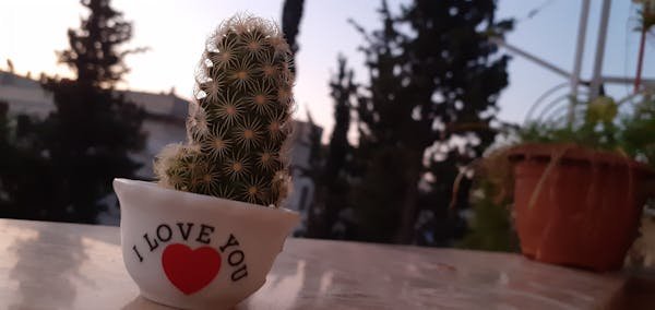 جهاز تنفس صناعي ICU Pro